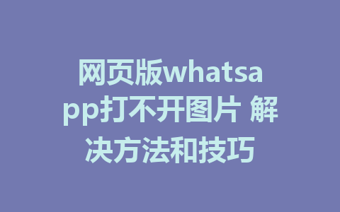 网页版whatsapp打不开图片 解决方法和技巧