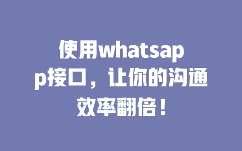 使用whatsapp接口，让你的沟通效率翻倍！ 一