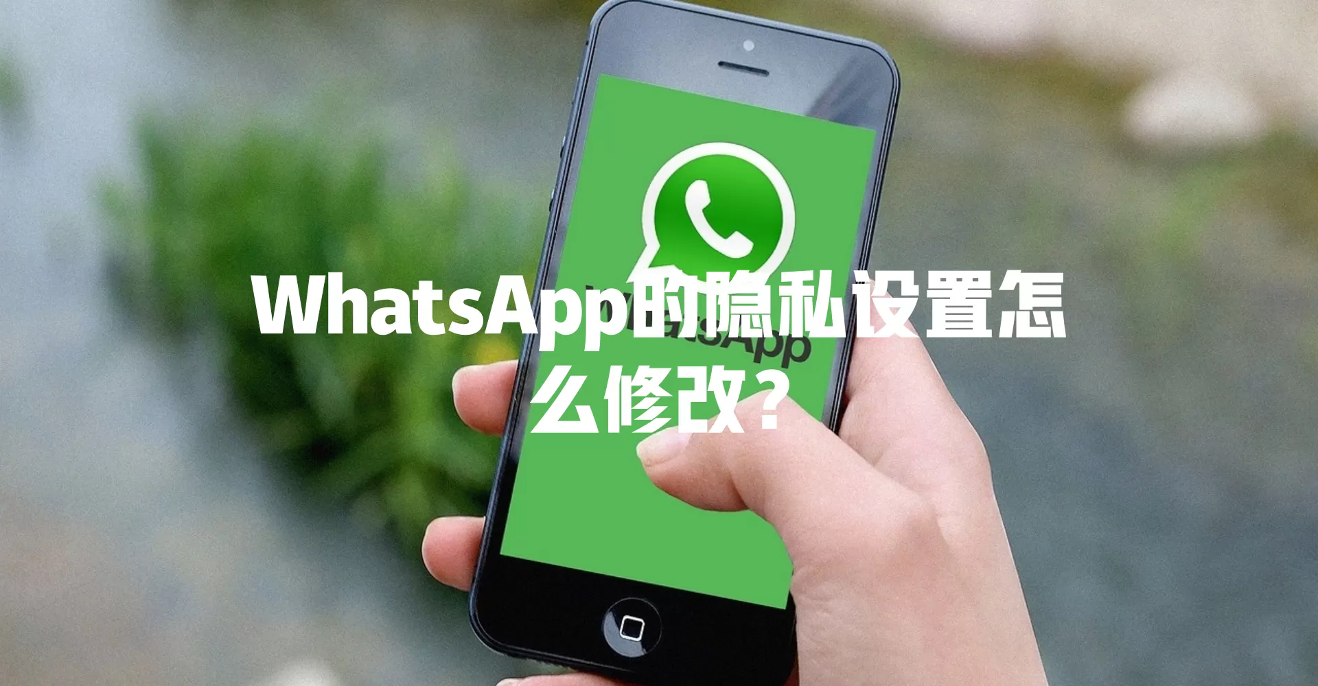 WhatsApp的隐私设置怎么修改？ 二